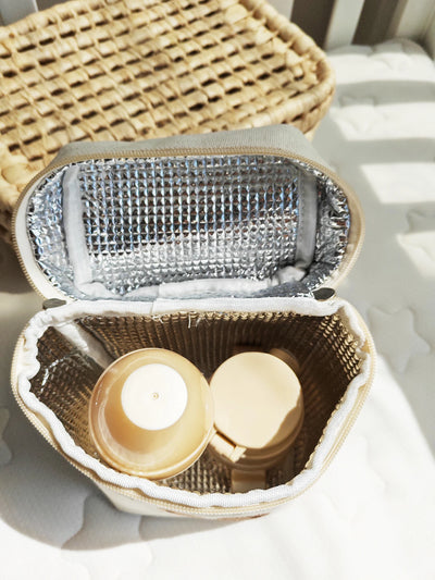 Insulated Bottle & Milk Storage Bag