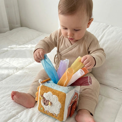 Magic Tissue Box Sensory Toy