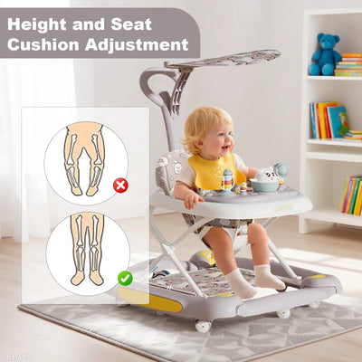 Baby Walker with Canopy, product photo 3