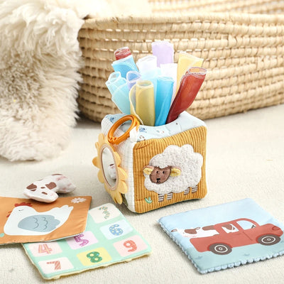 Magic Tissue Box Sensory Toy
