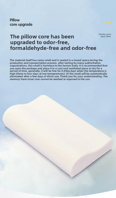 Animal Foam Pillow for Kids