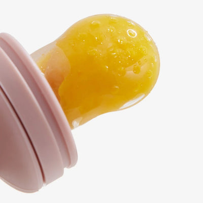 Silicone Fruit Feeder & Freezer Tray Set