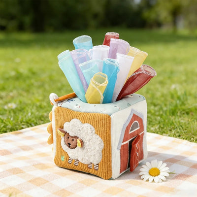 Magic Tissue Box Sensory Toy